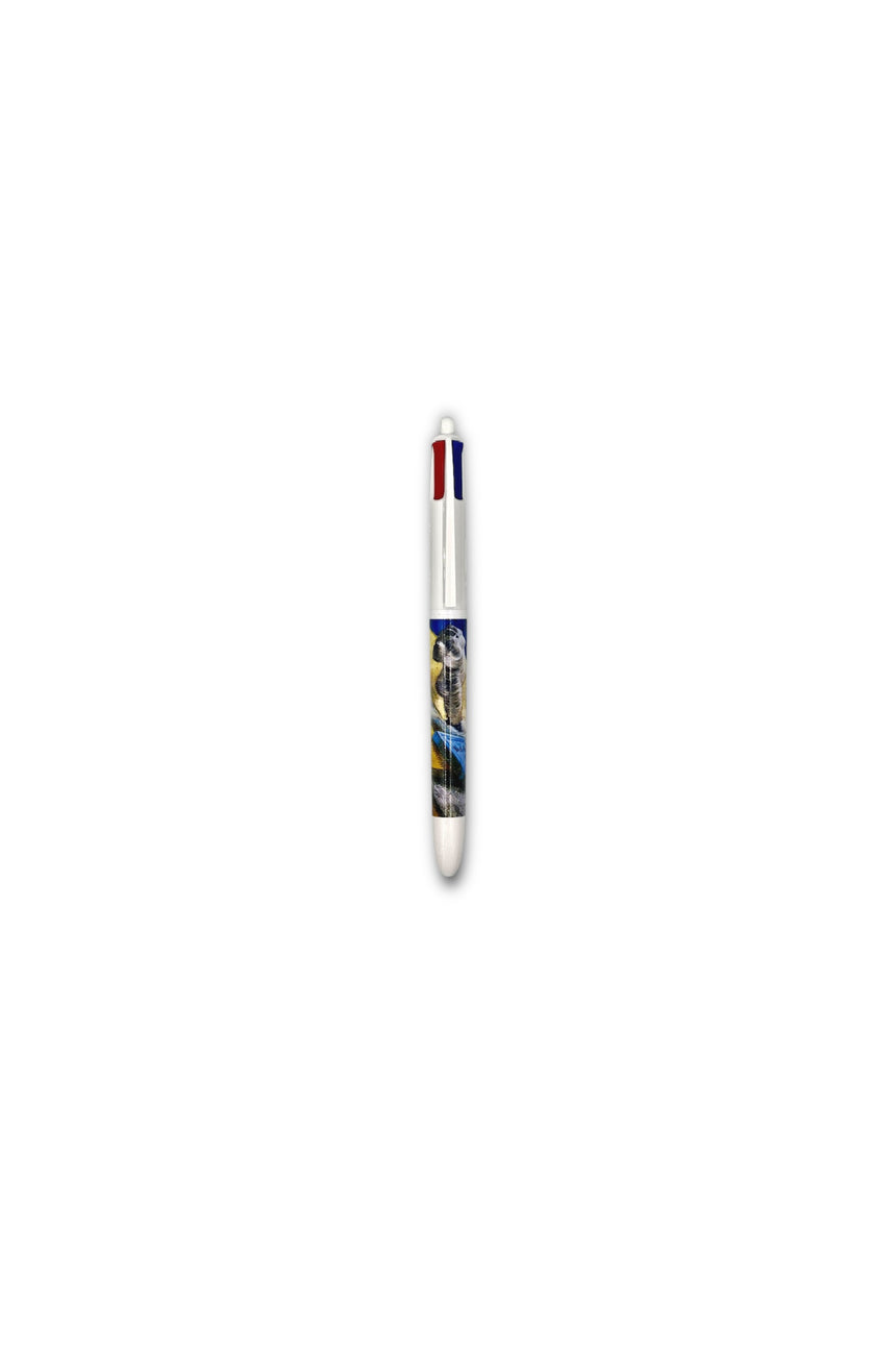 Van Gogh Still Life with Plaster Statuette , a Rose and Two Novels 4colours pen BIC®