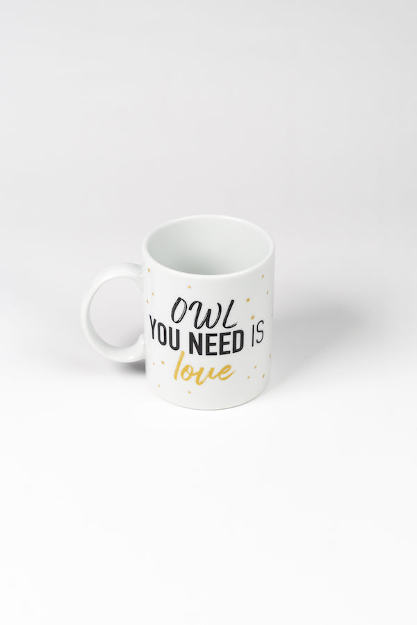 Owl you need is love mug