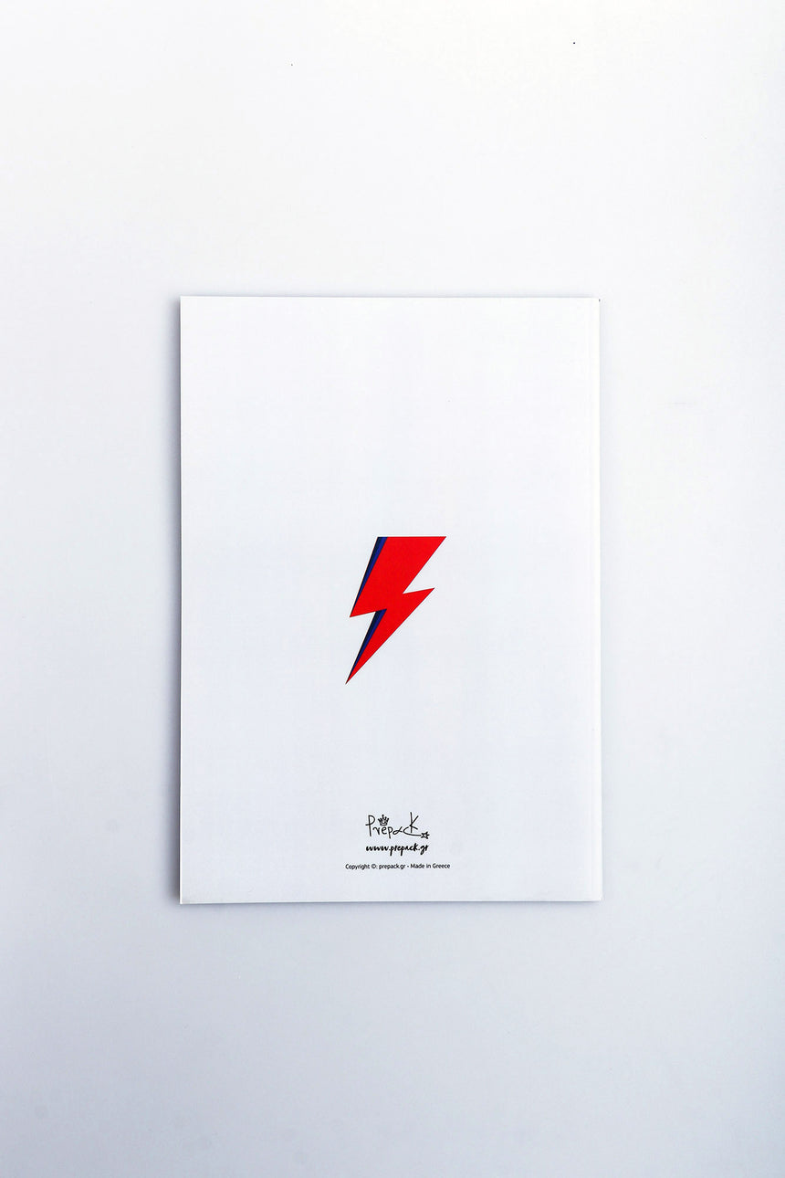 There's a starman pin notebook